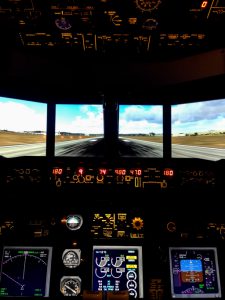 Inside a flight simulator